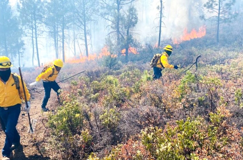  Día Mundial de la Prevención de Incendios Forestales
