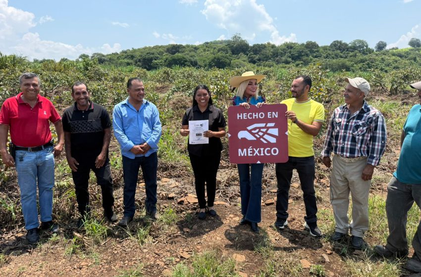  Omega Vázquez entrega en Taretán la Marca Certificadora “Hecho en México” a productores de guayaba