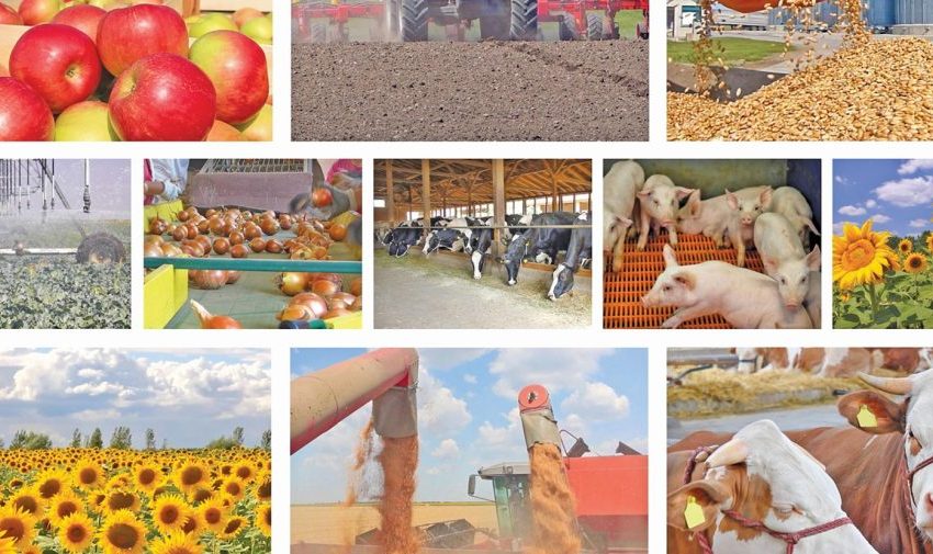 IndAgroalimen
