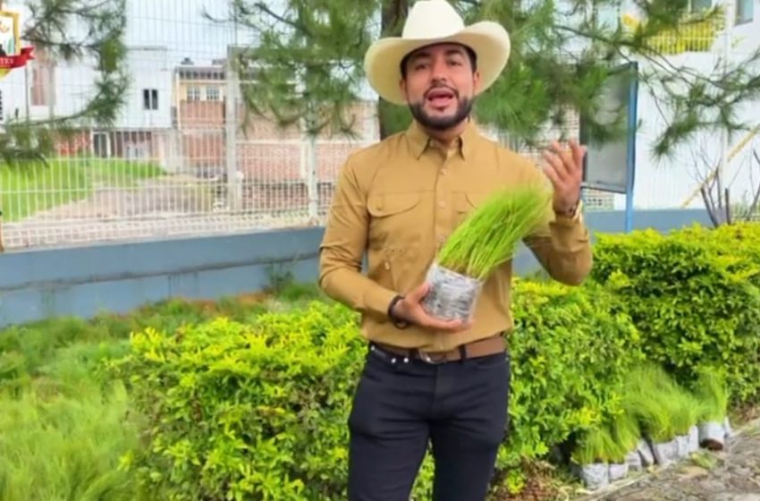 LRPlantacion