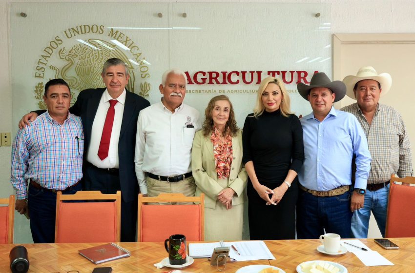  México alcanza máximo histórico en Inversión Extranjera Directa: Omega Vázquez
