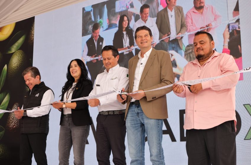 AMDiamMex1