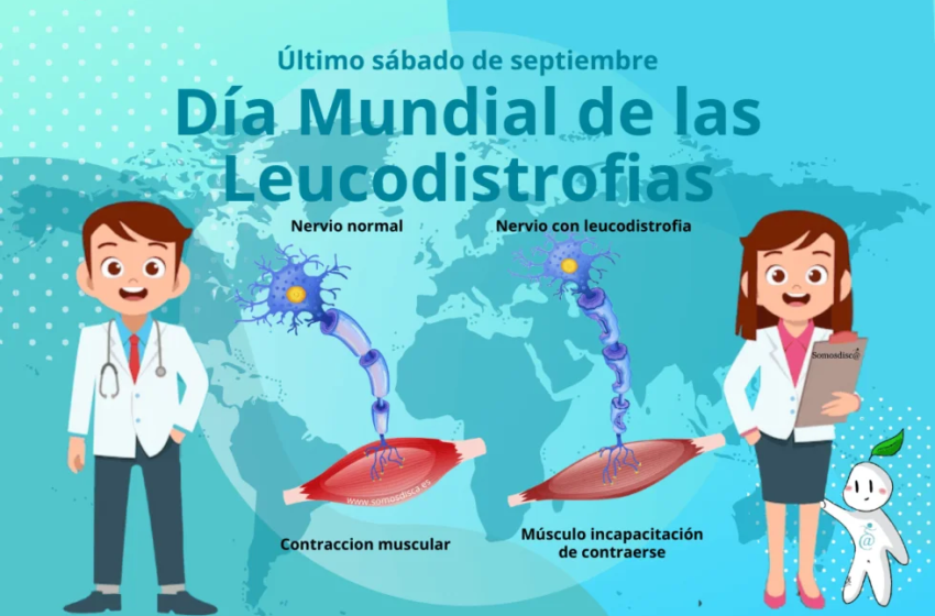 Dia Leucodistrof