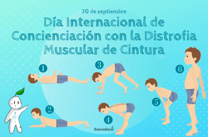 DiaConDisMusCin