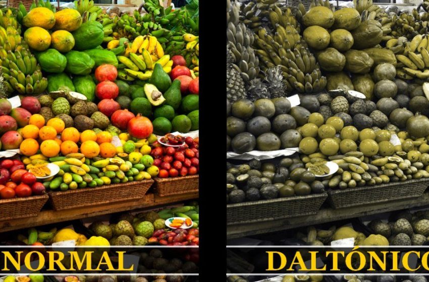  6 de septiembre: Día de Internacional de Concienciación sobre el Daltonismo