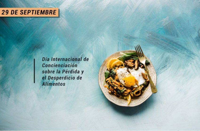  29 de septiembre: Día Internacional de Concienciación sobre la Pérdida y el Desperdicio de Alimentos