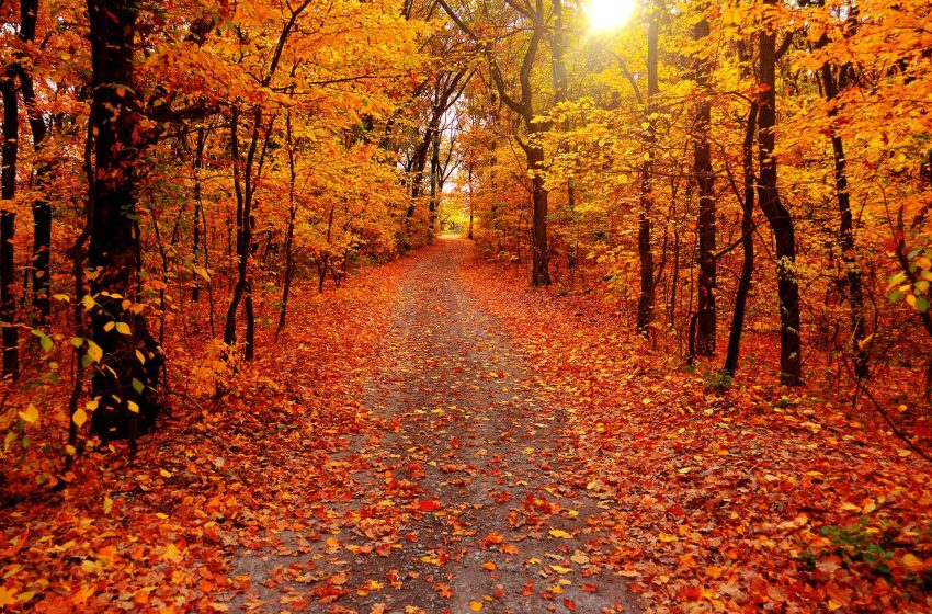  22 de septiembre de 2025: Inicia el Equinoccio de Otoño en el Hemisferio Norte