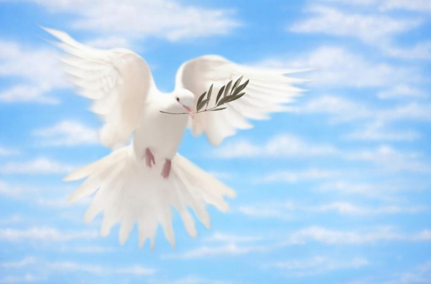  21 de septiembre: Día Internacional de la Paz