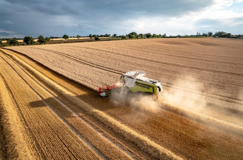  Necesario fortalecer programas de apoyo a la productividad del campo