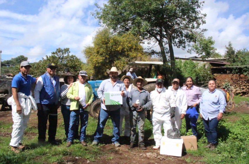  Gobierno de Morelia apoya a productores agrícolas