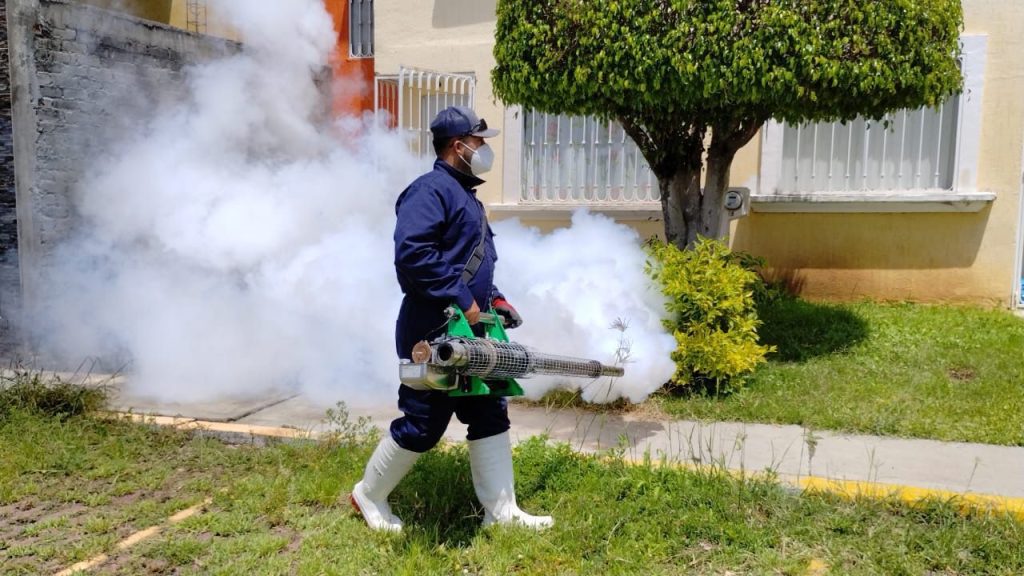 GobMorDengue