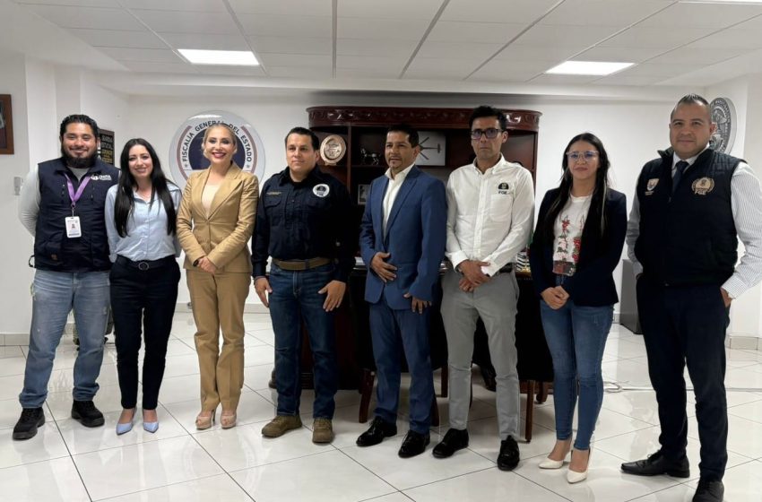  Gobierno de Morelia cierra filas en defensa de los animales
