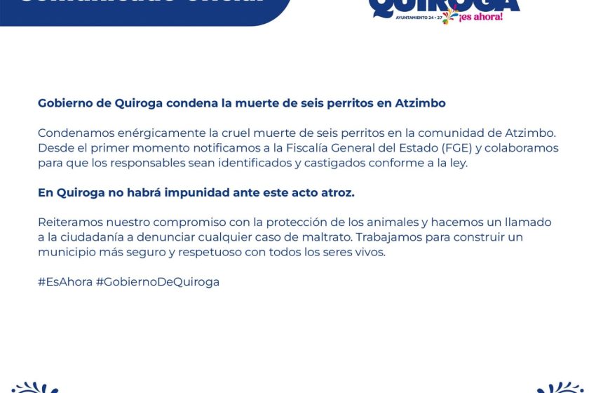  Gobierno de Quiroga condena la cruel muerte de seis perritos en Atzimbo y se compromete a colaborar con la FGE