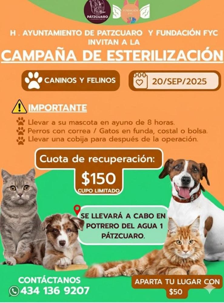 Mascos12