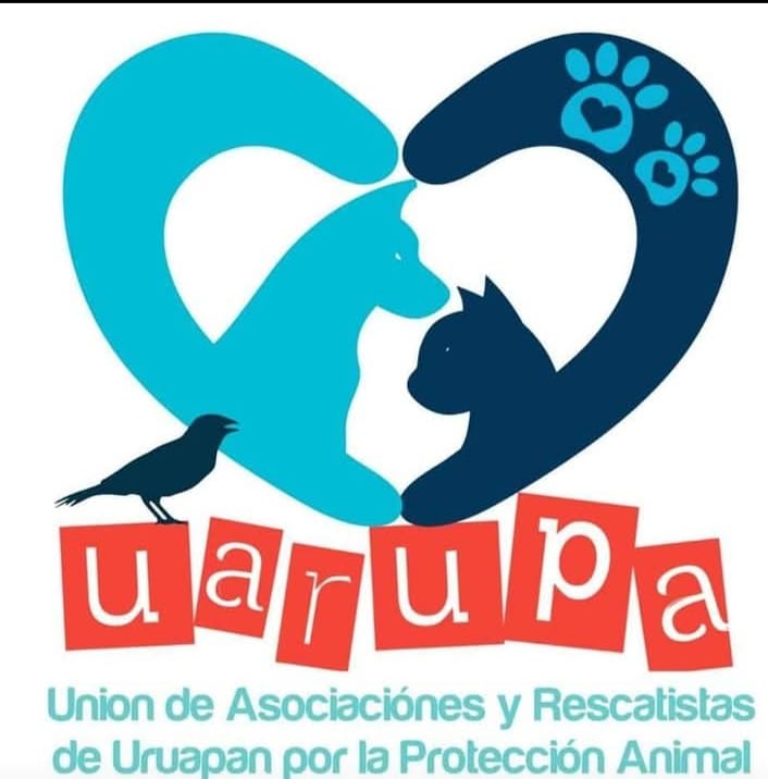 Mascos2