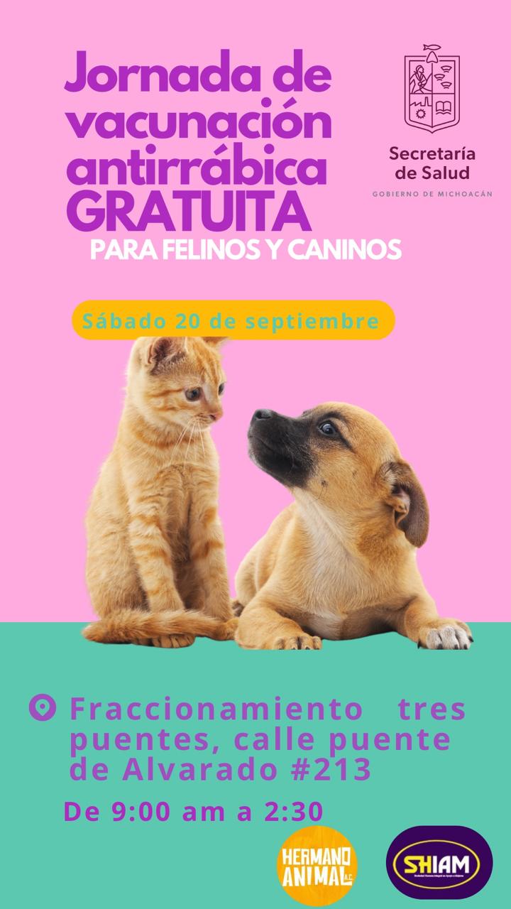 Mascos9