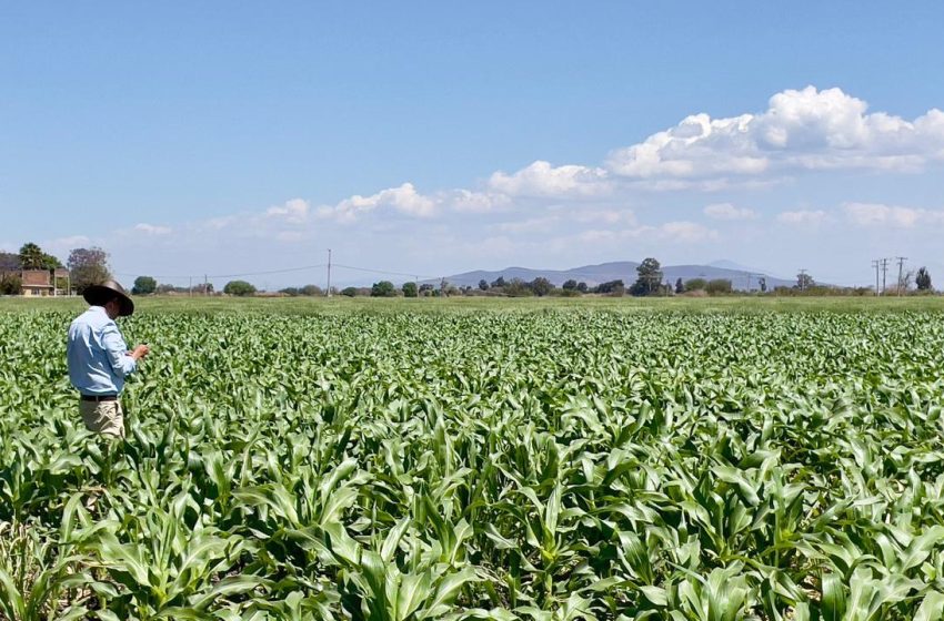  Comparte la UMFFAAC compromiso del Gobierno por tener mejores fitosanitarios en agricultura