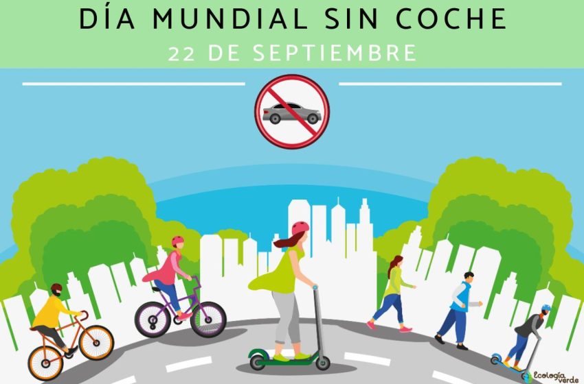 dia mundial sin coche