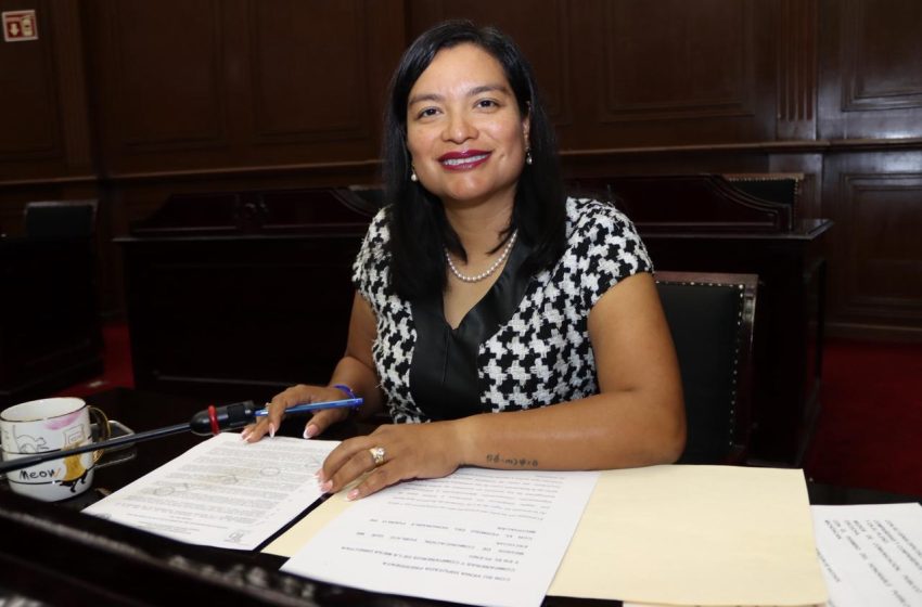  Presenta diputada Eréndira Isauro Hernández iniciativa para sancionar terapias que atenten contra la orientación sexual o identidad de género