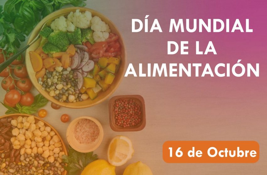 16 de octubre: Día Mundial de la Alimentación