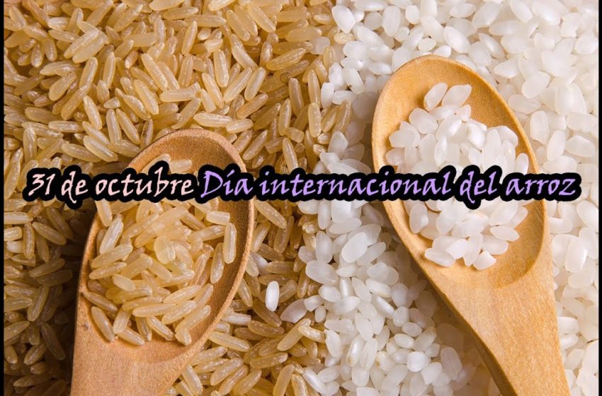 31 de octubre: Día Internacional del Arroz