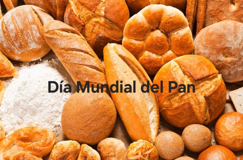  16 de octubre: Día Mundial del Pan