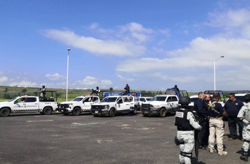  Martes en Michoacán: enfrentamientos en Tierra Caliente deja 5 muertos; hallan dos ejecutados en Pátzcuaro
