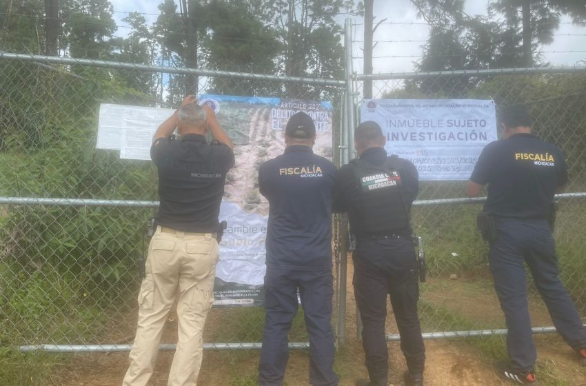  Cumplimenta FGE cateo en predio relacionado con delito ambiental en Tacámbaro