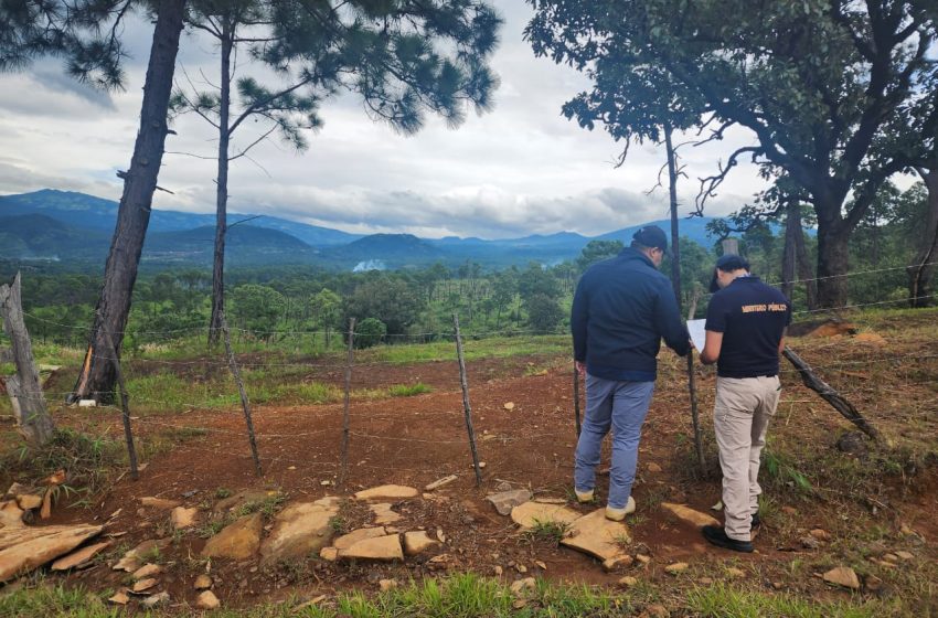  Cumplimenta FGE cateo en predio relacionado con delito ambiental en Ziracuaretiro