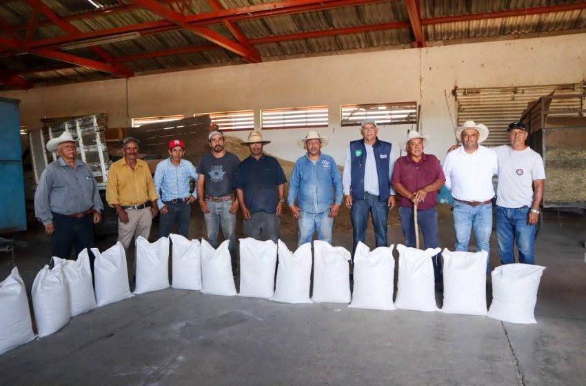  Mónica Valdez impulsa acciones para fortalecer la producción agrícola en Zacapu, entregan apoyos a productores