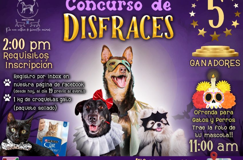  Morelia se llenará de huellitas fantasmales: Rescatistas Independientes convocan a concurso de disfraces canino