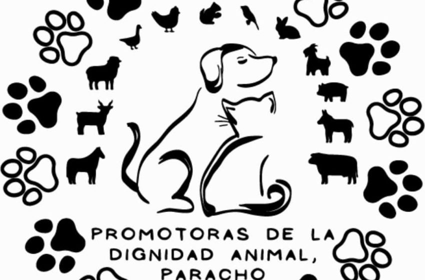 MascosLogoParacho