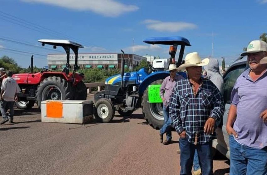  Productores agrícolas de 20 estados, deciden paro de actividades