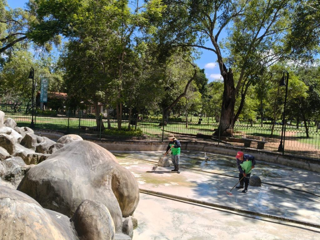 img 20251014 wa02323283817492369600007
