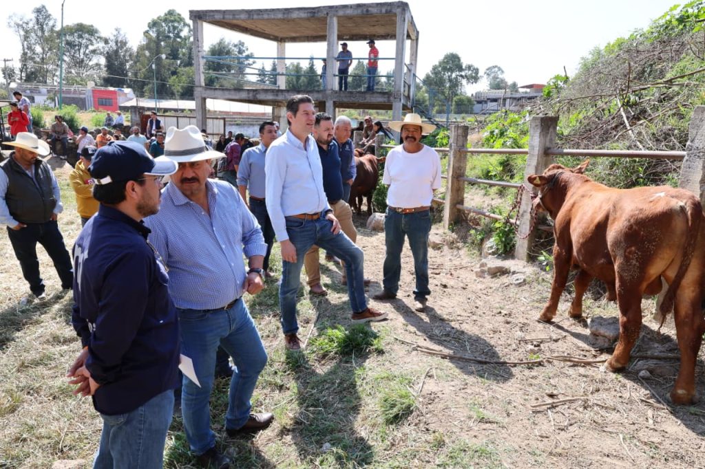 AM SoliRural2