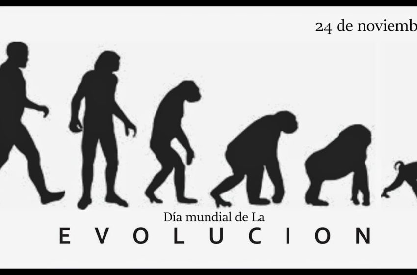  24 de noviembre: Día Mundial de la Evolución