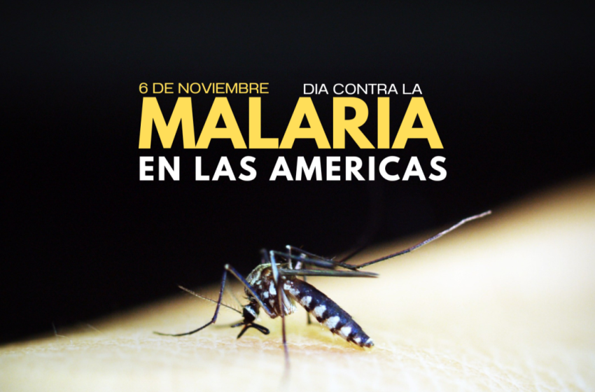  6 de noviembre: Día contra la Malaria en las Américas