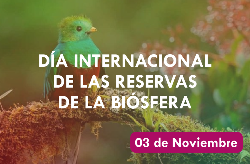 DiaResBios