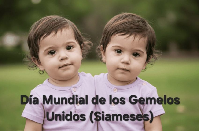 DiaSiameses