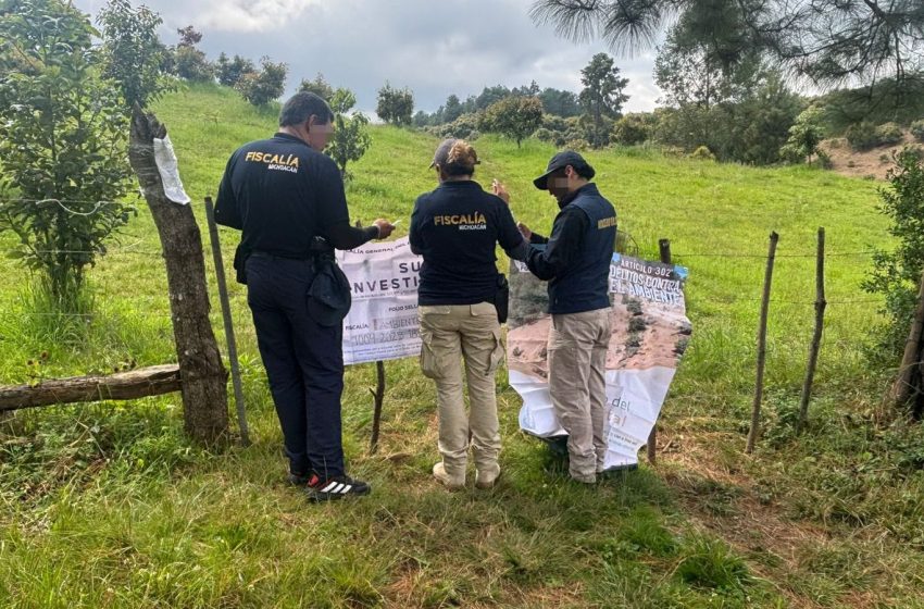  Realiza FGE cateo en predio relacionado con delito ambiental en Tacámbaro