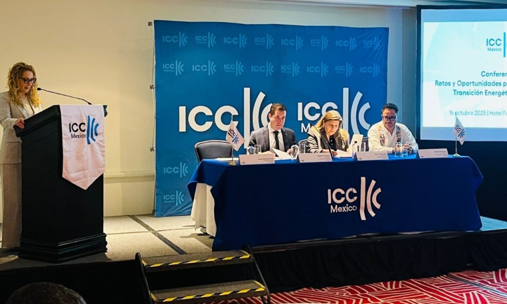 ICC COP30