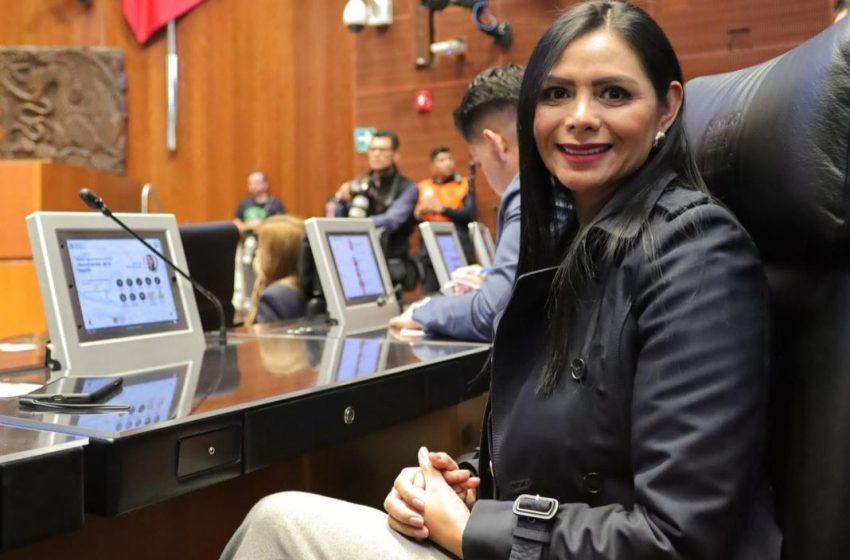  Araceli Saucedo impulsa reforma a la Ley General de Turismo para proteger a niñas, niños y adolescentes