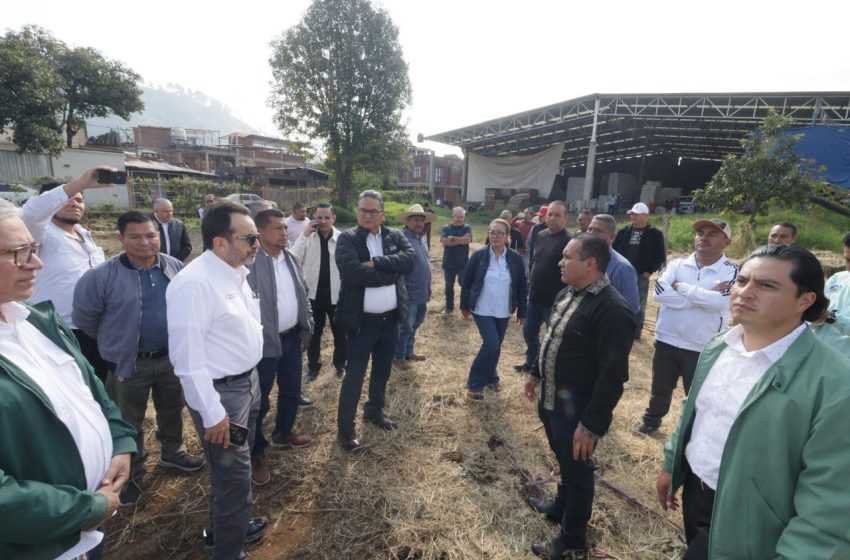  Construirá IMSS Unidad de Medicina Familiar en San Juan Nuevo Parangaricutiro