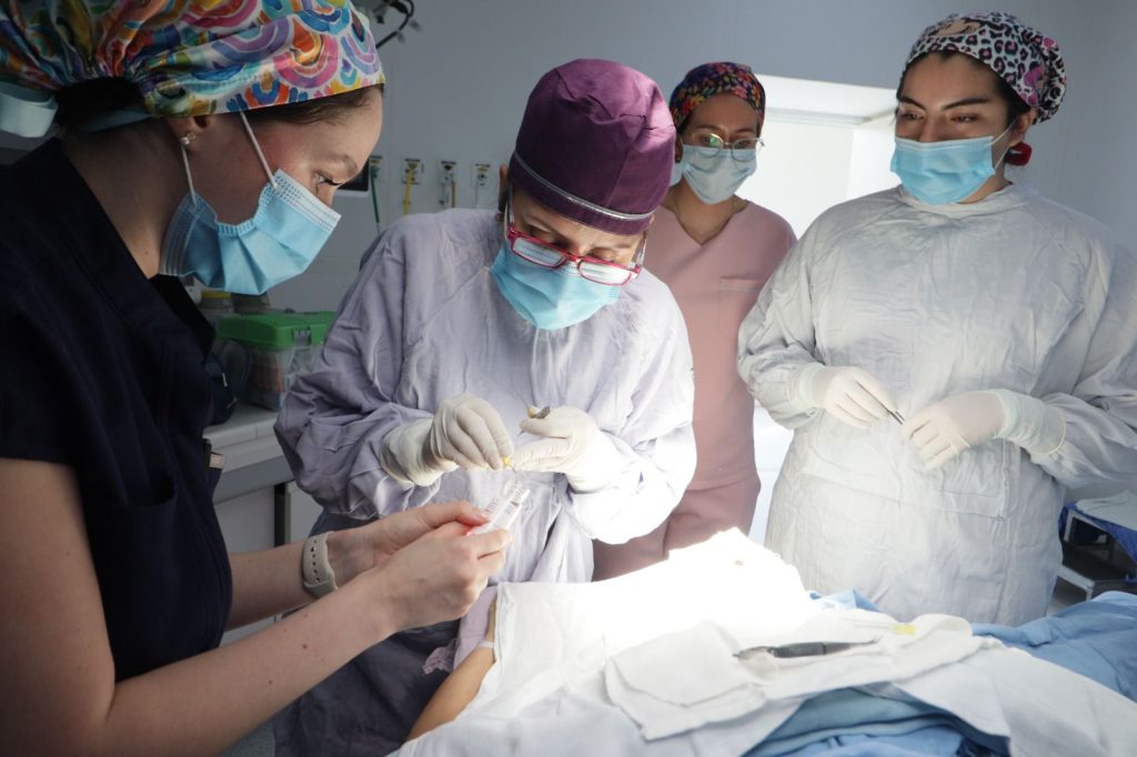 IMSS DonaMenor2