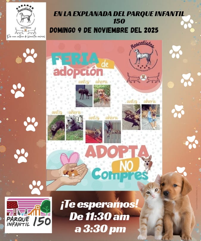 MasAdop9Nov1
