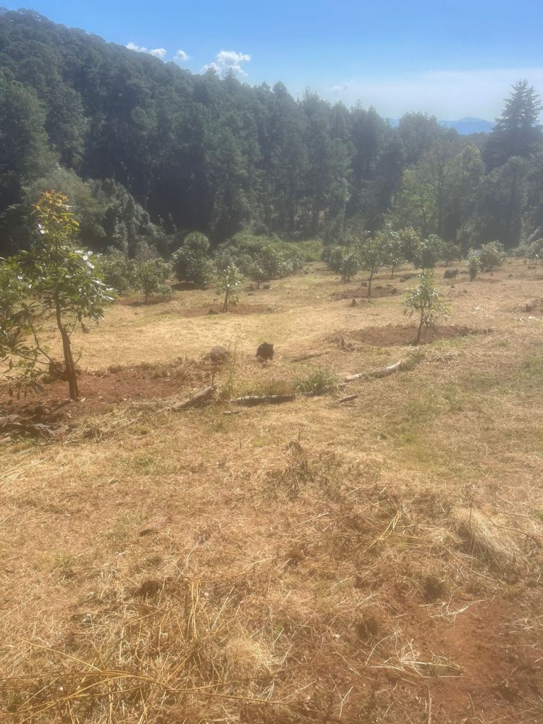 img 20251109 wa00177630343958073477060