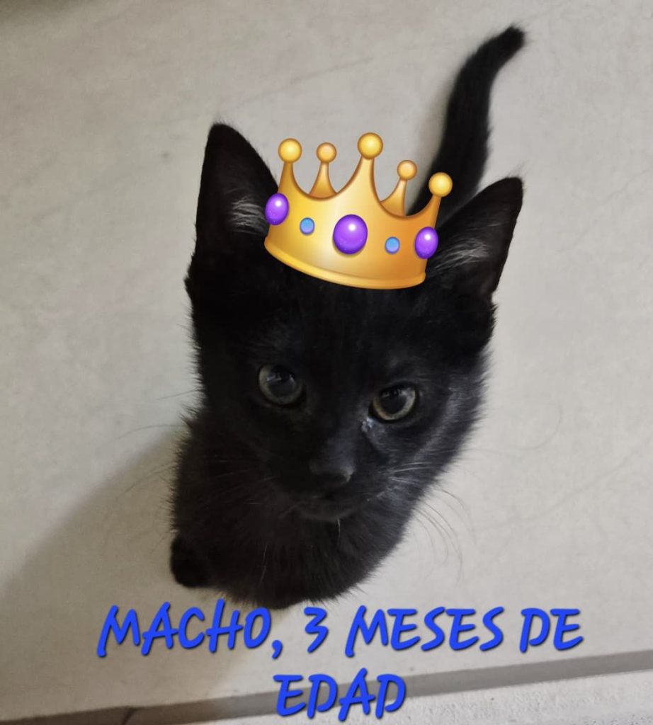 img 20251113 wa01673584884918779616108