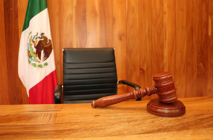  La iniciativa de víctima, denunciante o testigo anónimos abonará a asegurar los fines del proceso penal