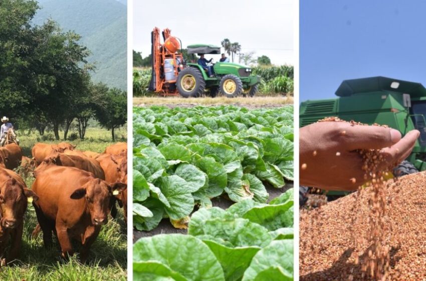  Se desploma casi 50 por ciento balanza comercial agroalimentaria de México