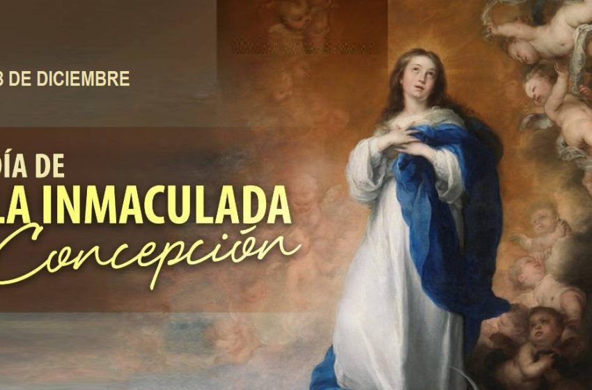 DiaConcepcion